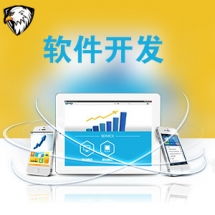 一品威客網軟件外包服務報價與收費解析 專業、透明、高性價比的開發選擇